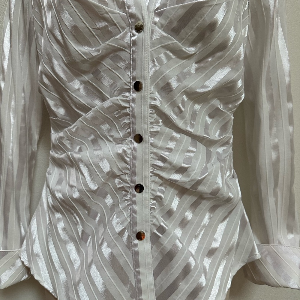 Cache White Satin-Stripe Fitted Button-Down Shirt - Picture 2 of 8